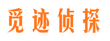 临泉市婚外情调查